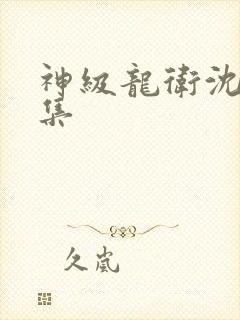 神级龙卫沈浪全集