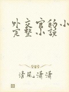 外交官的小萌妻完整小说