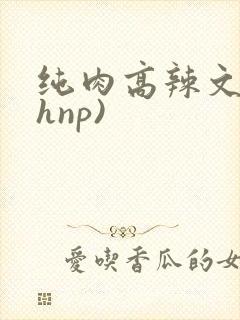纯肉高辣文(高hnp)