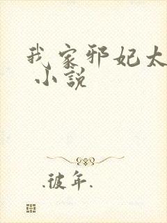 我家邪妃太嚣张 小说