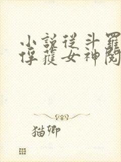 小说从斗罗开始俘获女神阅读