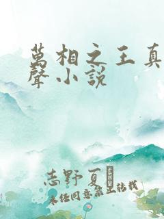 万相之王真人有声小说