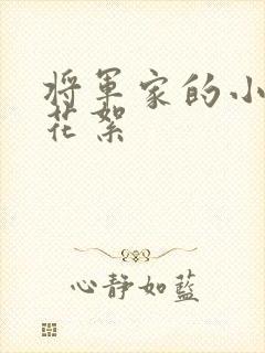 将军家的小娘子花絮