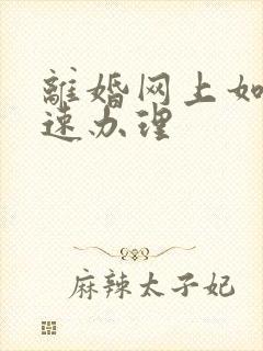 离婚网上如何快速办理