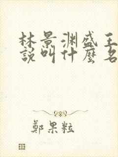 林景渊盛王的小说叫什么名字
