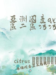 亚洲国产av一区二区污污污