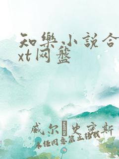 知乐小说合集txt网盘