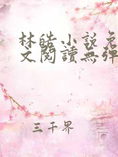林皓小说免费全文阅读无弹窗