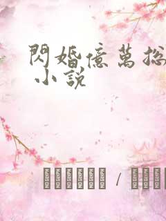 闪婚亿万总裁后 小说