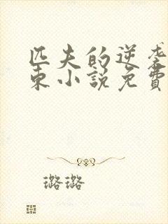 匹夫的逆袭刘汉东小说免费阅读