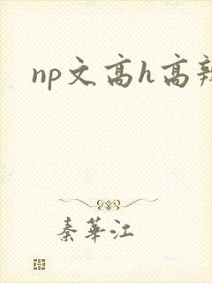 np文高h高辣