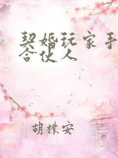 契婚玩家手册之合伙人