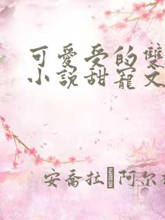 可爱受的双男主小说甜宠文