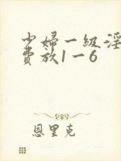少妇一级淫片免费放1一6
