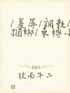 /羞辱/调教/捆绑/束缚小说