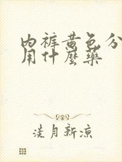 内裤黄色分泌物用什么药