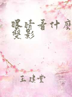 眼睛看什么都是双影