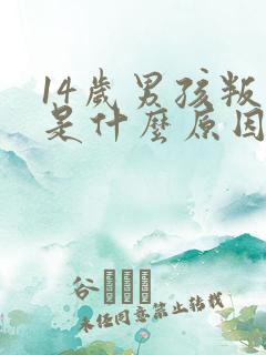 14岁男孩叛逆是什么原因