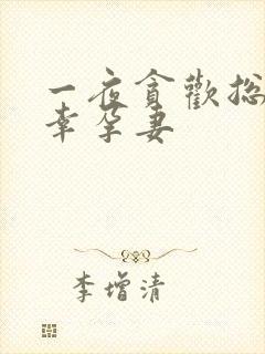 一夜贪欢总裁的幸孕妻