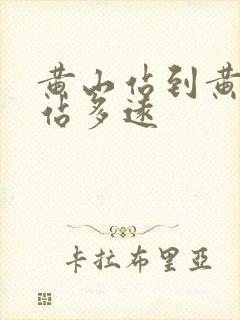 黄山站到黄山北站多远