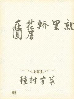 在花轿里就开始圆房