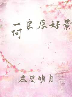 一良辰好景知几何