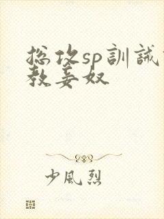 总攻sp训诫调教妾奴