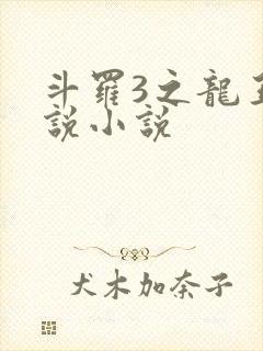 斗罗3之龙王传说小说