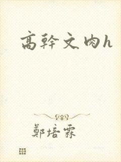 高干文肉h