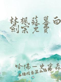 林枫苏慕白神霄剑宗免费