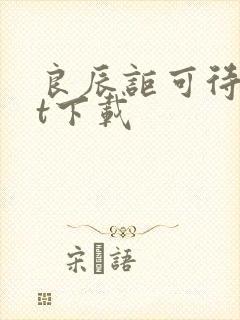 良辰讵可待txt下载