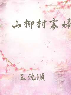 山柳村寡妇情史