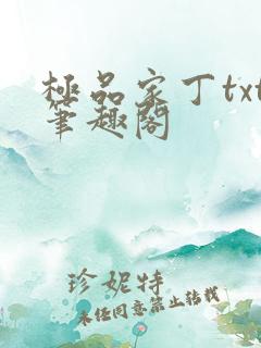 极品家丁txt笔趣阁