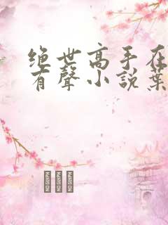 绝世高手在都市有声小说叶寻免费听