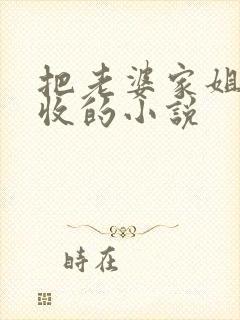 把老婆家姐妹全收的小说