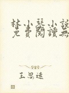 林小琴小说全文免费阅读无弹窗