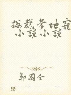 总裁爹地宠上天 小说小说