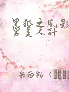 黑狐之风影蒋胜男美人计