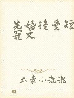先婚后爱短篇甜宠文
