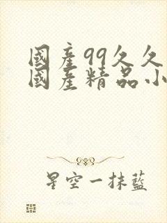 国产99久久久国产精品小说