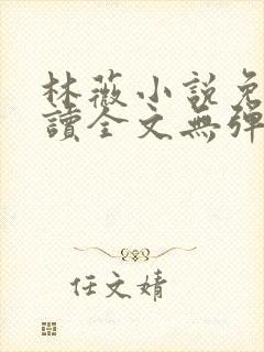 林薇小说免费阅读全文无弹窗