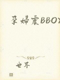 孕妇震BBOX