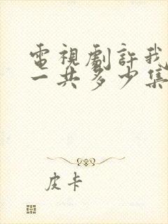 电视剧许我耀眼一共多少集