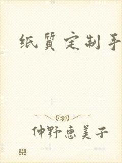 纸质定制手提袋