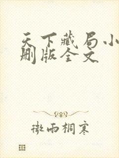 天下藏局小说未删版全文