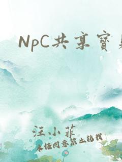 NpC共享宝贝