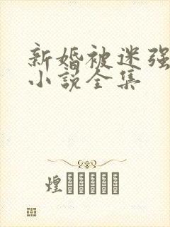 新婚被迷强系列小说全集