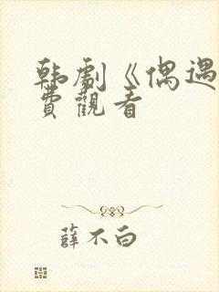 韩剧《偶遇》免费观看