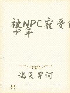 被NPC宠爱的少年