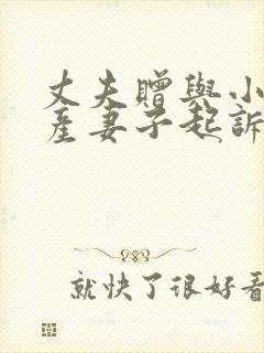 丈夫赠与小三财产妻子起诉